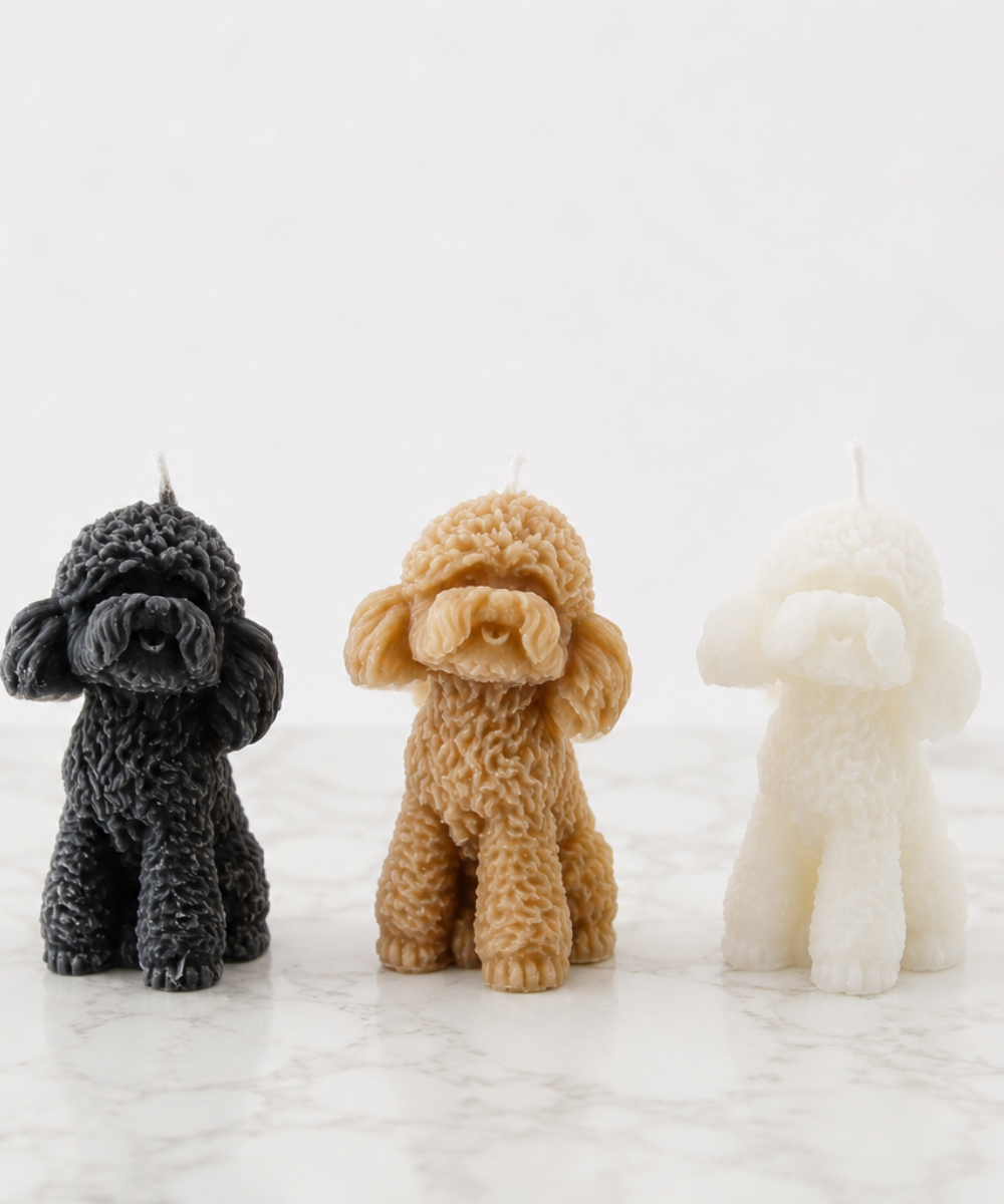 Poodle Dog