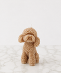 Poodle Dog
