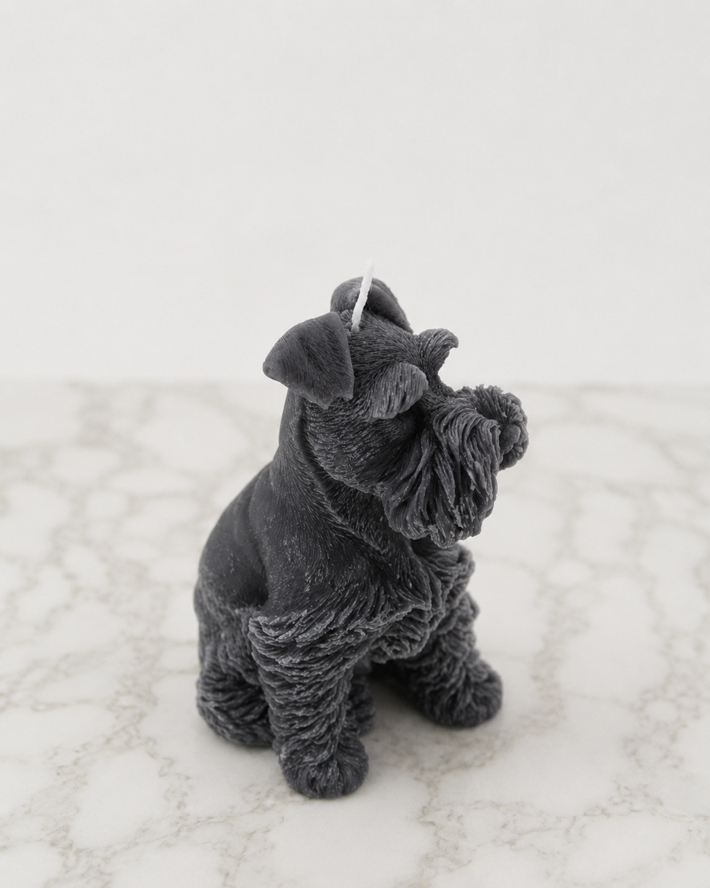 Schnauzer Dog