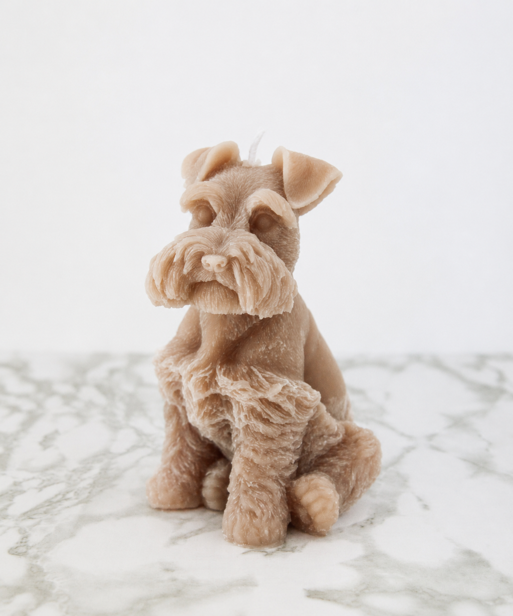 Schnauzer Dog