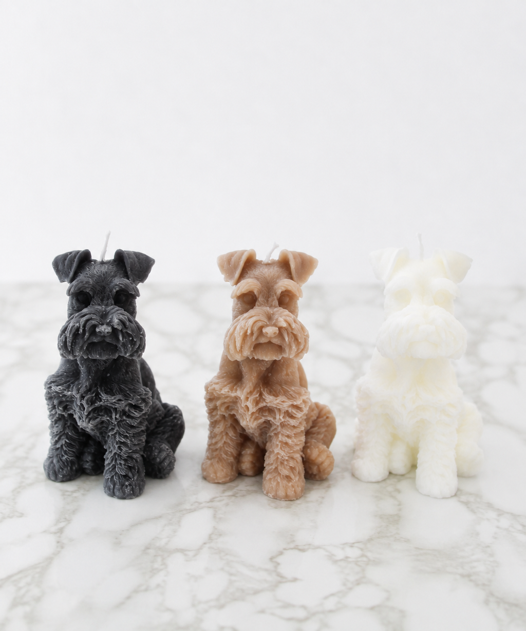 Schnauzer Dog